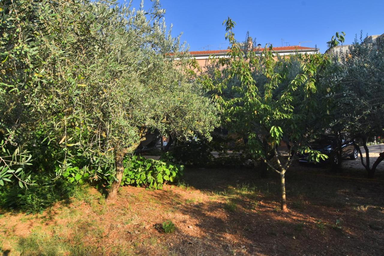 Apartments Edita Zadar Exterior foto
